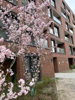 Tropical Novum Apartment - Krakow Old Town - B&B Cracovia