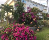 LES HIBISCUS - B&B