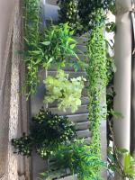 Liberty Home - Chambres d’hôtes Thessalonique