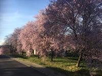 Mecseki Farkaslak - Bed and Breakfast Magyarhertelend