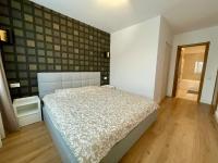 Deluxe One-Bedroom Apartment