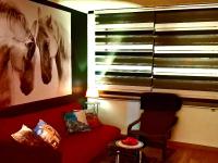 Paradita del camino - B&B Sarria