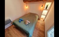 Magnifique T4 intra-muros centre - B&B Avignone