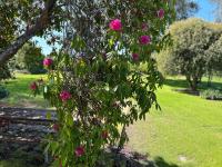 Grandad's farmhouse - B&B