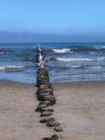 Apartament Szczęśliwy - 14 - Ferienwohnung Henkenhagen