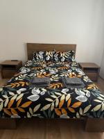 Edy Central Apartment - Ferienwohnung Arad