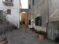 La loggia del pappagallo - B&B Gallese