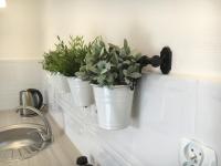 Studio with Garden View