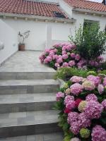 Apartment Areti - Chambres d’hôtes Mlini