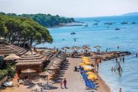 Luna apartment in Biograd center - B&B
