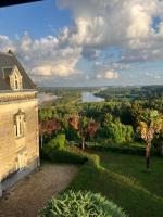 Chateau avec une vue sur la Loire - B&B