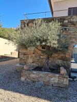 Funtanella II - B&B Patrimonio