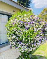 Messe Luxe Apartments Braeside - B&B