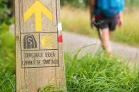 Santiago Apartment - B&B Caminha