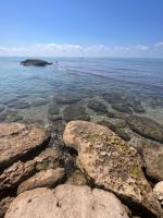 The seaside villa - Anzio - B&B Anzio