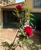 La Piccola Oasi con parcheggio - B&B Florence