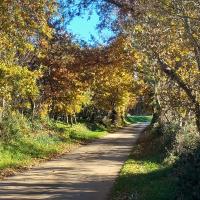 Casa Fresca - Bed and Breakfast