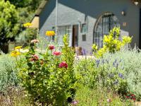 Fiddler's Green - Bed and Breakfast Magoebaskloof