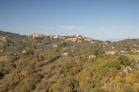 Villa with Garden View