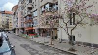 White Pearl Apartment - Top Location, Bright & Spacious, Newly Renovated - Ferienwohnung Sofia