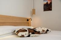 Doppel-/Zweibettzimmer mit eigenem Bad