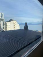 Antártida Argentina 63 - B&B Ushuaia