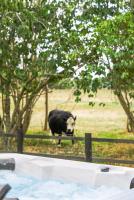 Catley Lodge B&B Farmstay - B&B