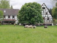 Kulturdenkmal Appenhof - B&B