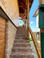 Bird of Paradise - B&B Belgrade