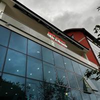 Apartamente Gildo 1 - B&B Borşa