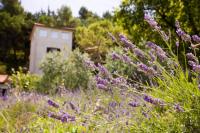 B&B La Torre del Poggio - B&B Poggio