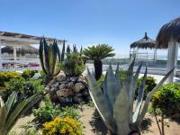 Surf House d'Elite - Chambres d’hôtes Passoscuro