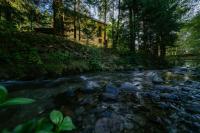 Vila Green & White - Bed and Breakfast Moieciu de Sus