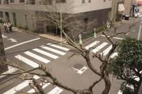 Japanese-Style Quadruple Room