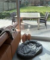 Aurelia - Chambres d’hôtes Ronse