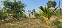 KK Dream Garden - B&B