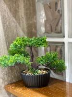 Apartment Lake Tirana - B&B Tirana