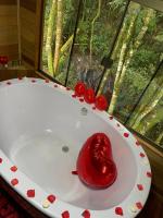 chalé Valle das Araucárias - B&B