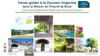 La Maison du Prieuré de Bocé - B&B Bocé
