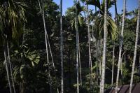 Binay chapa homestay in jaldapara - Ferienwohnung Mādāri Hāt