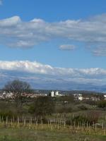 Classic Driepersoonskamer