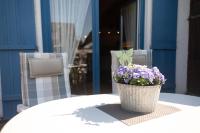 Haus Schwed in Hooksiel - B&B Wangerland