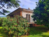 Versillia Olive Residence - Ferienwohnung Vallecchia
