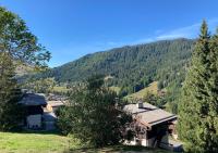 Appartement 3 pieces, proche des activités, wifi et parking gratuit - Chambres d'hôtes La Clusaz