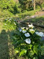 Havre de Paix - Bed and Breakfast Hermelinghen