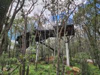 Cabaña Austral, Punta del Bosque - B&B