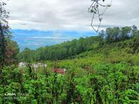 The Kodai Fantasy - B&B Kodaikānāl