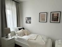 Appartamento Deluxe con 2 Camere da Letto