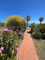 Hola House Baia Fenicia - B&B Falcone