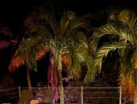 Villa la Flamboyante 4 étoiles, 4 Clévacances - Ferienwohnung Sainte-Anne